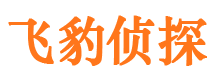 武城侦探公司